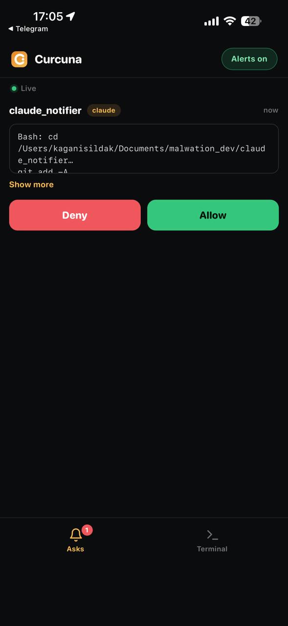 Curcuna's phone web app showing a pending Claude Code approval — a Bash command with Deny and Allow buttons — with a live connection indicator and Asks/Terminal tabs.